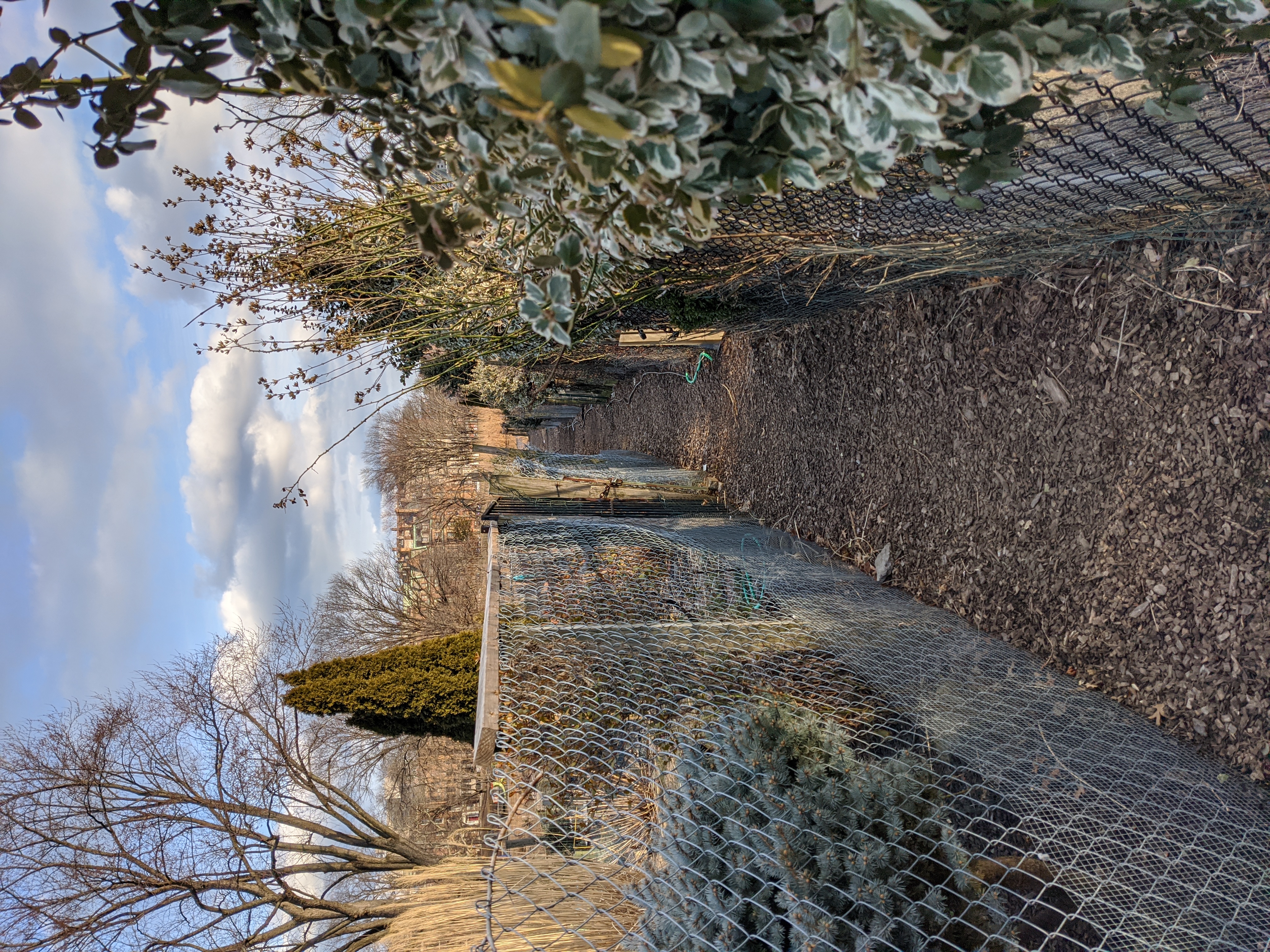 A small walkway weaving between garden plots