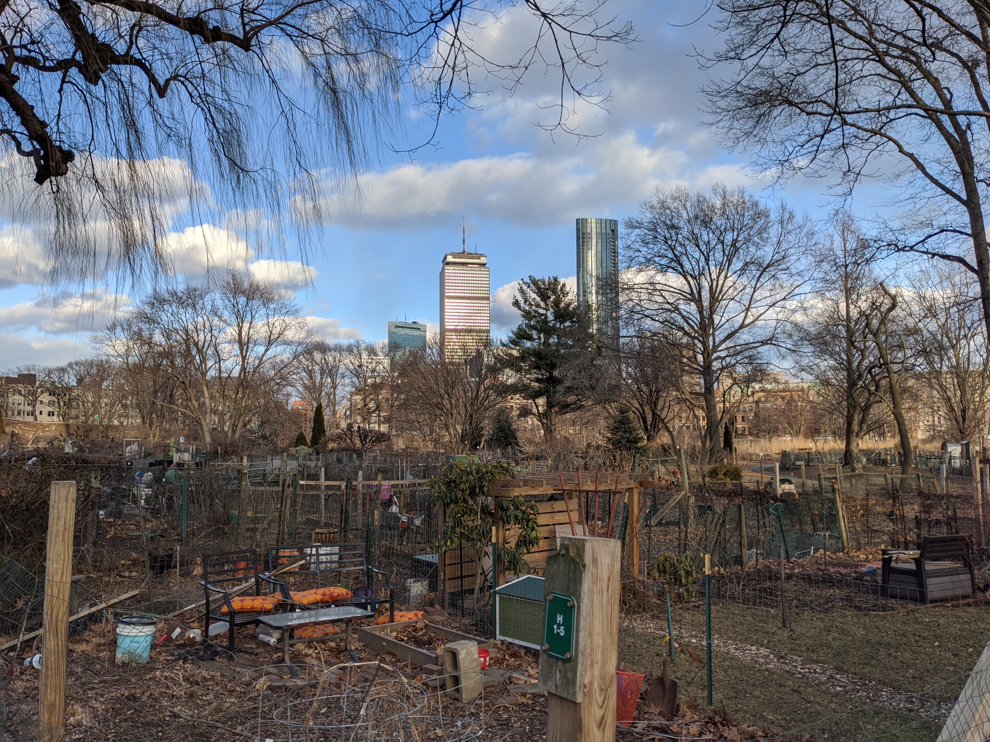 A view of the Prudential building from the fens
